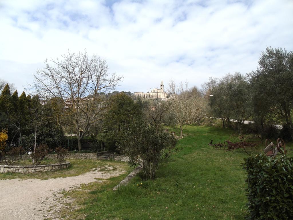 Agriturismo Poponi Villa Todi Exterior foto